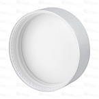 Фото: Крышка винтовая ABS 51,5мм, с PE прокладкой, серебряная глянцевая